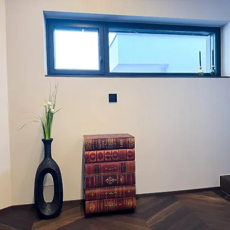 Luxus-penthouse Mit Weitblick Ueber Apartment